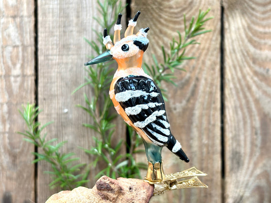 Christmas Hoopoe