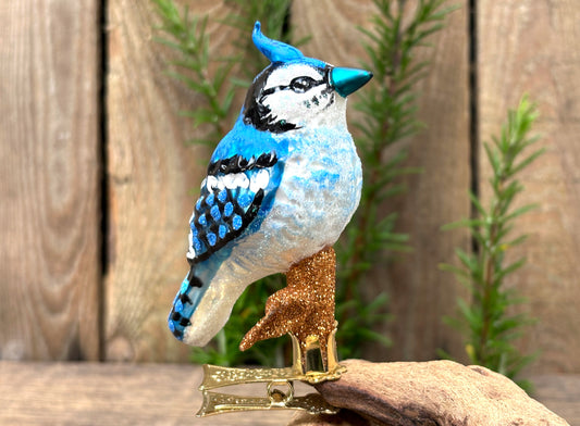 Christmas Blue Jay