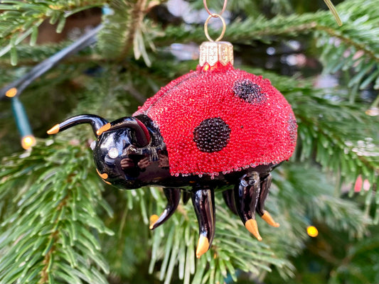 Christmas Ladybug