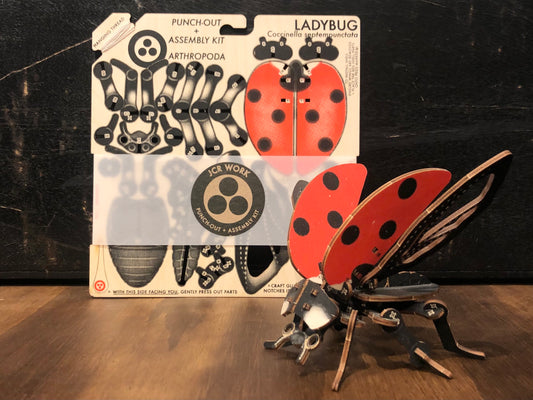 Kit: Ladybug