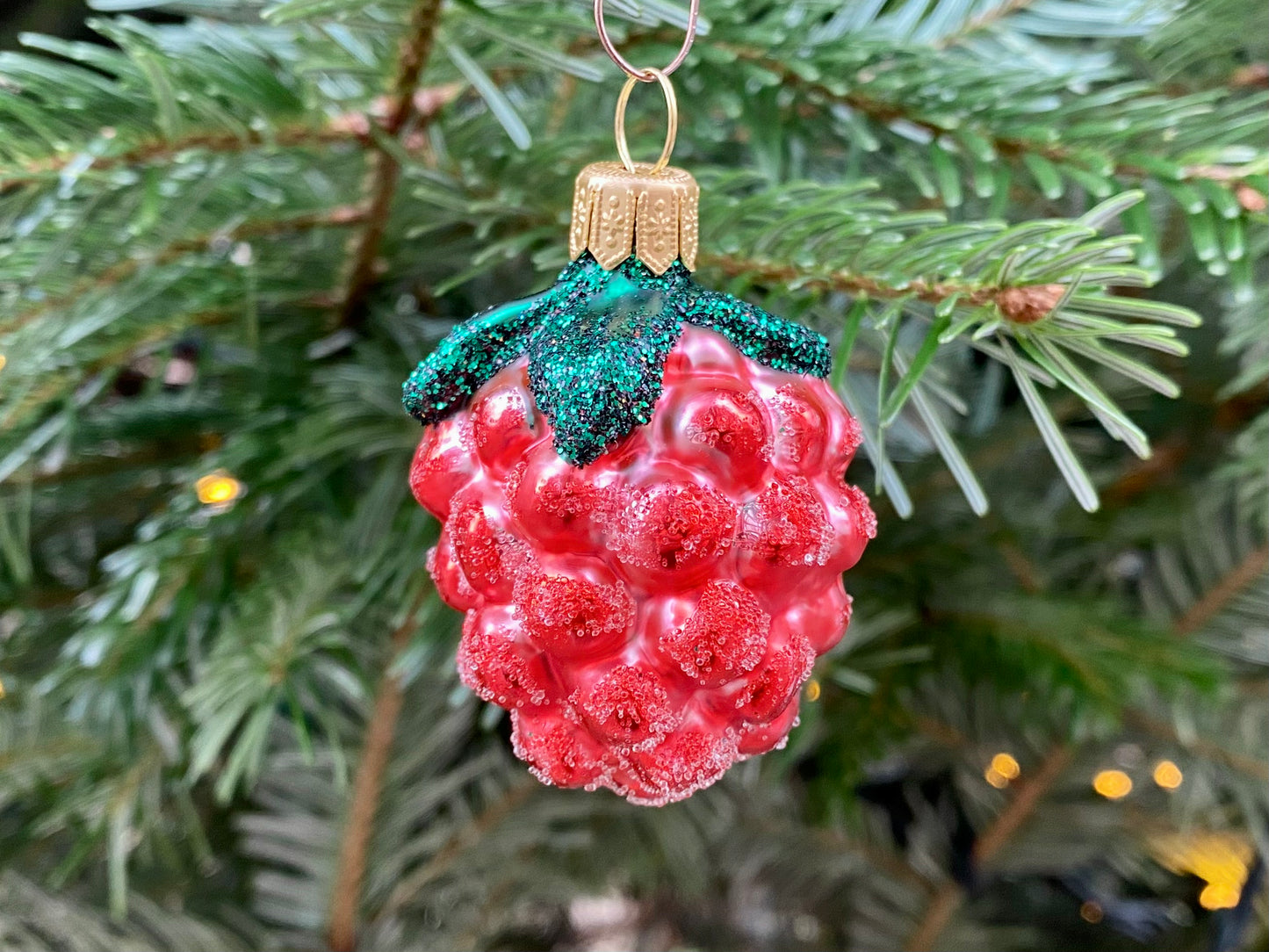 Christmas Berry