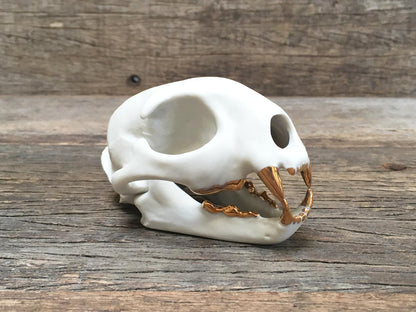 Porcelain Bobcat Skull