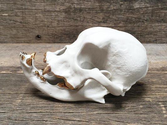 Porcelain Bulldog Skull