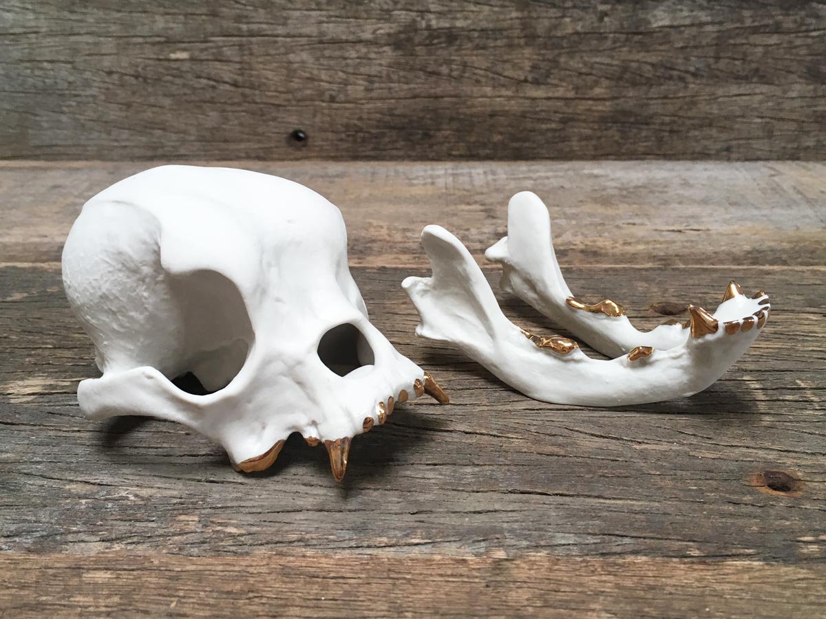 Porcelain Bulldog Skull