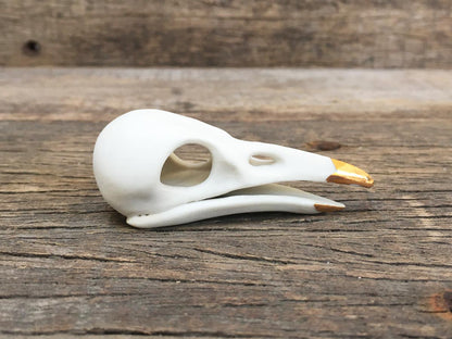 Porcelain Crow Skull