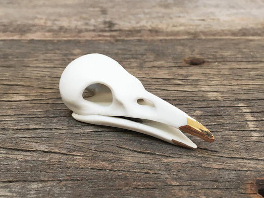 Porcelain Crow Skull