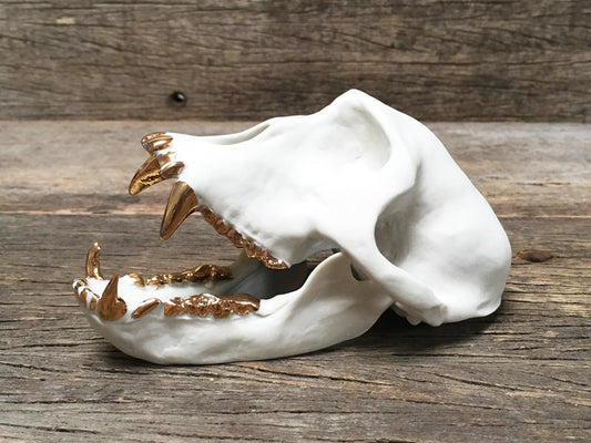 Porcelain Patas Monkey Skull