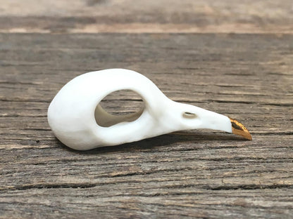 Porcelain Pigeon Skull