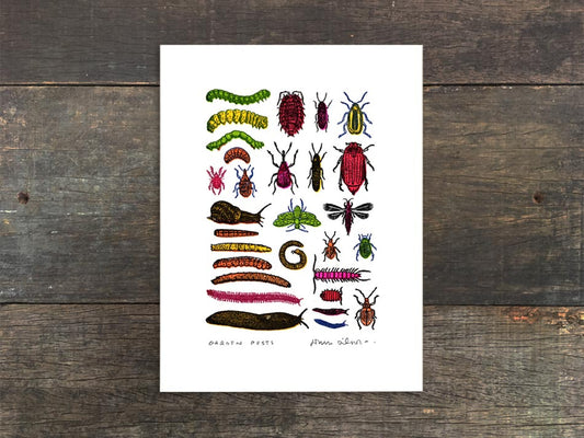 Garden Pests Mini Prints