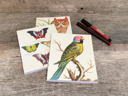 Set of 3 Notebooks