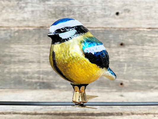 Christmas Blue Tit