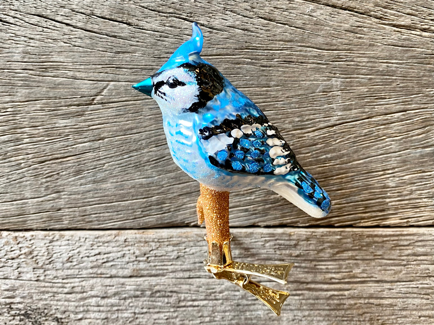 Christmas Blue Jay