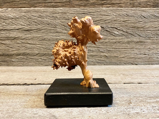 Burl Sculpture