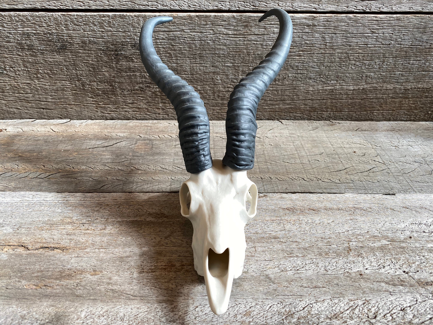 Porcelain Springbok Skull