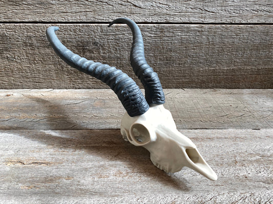 Porcelain Springbok Skull