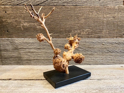 Burl Sculpture